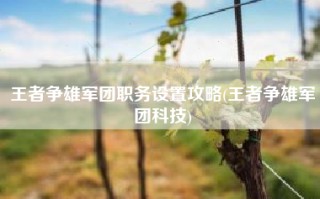 王者争雄军团职务设置攻略(王者争雄军团科技)