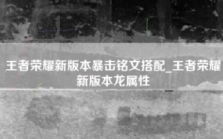 王者荣耀新版本暴击铭文搭配_王者荣耀新版本龙属性