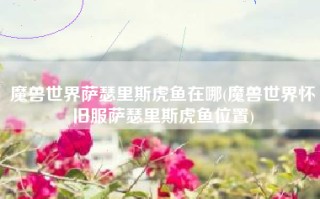 魔兽世界萨瑟里斯虎鱼在哪(魔兽世界怀旧服萨瑟里斯虎鱼位置)