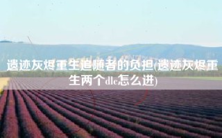 遗迹灰烬重生追随者的负担(遗迹灰烬重生两个dlc怎么进)