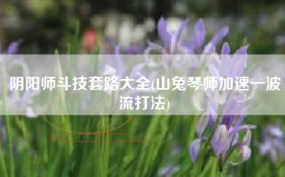 阴阳师斗技套路大全(山兔琴师加速一波流打法)