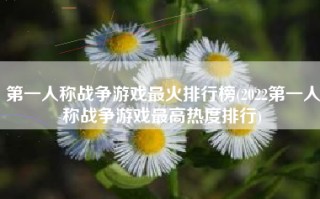 第一人称战争游戏最火排行榜(2022第一人称战争游戏最高热度排行)