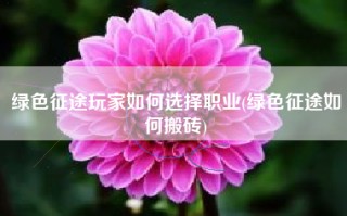 绿色征途玩家如何选择职业(绿色征途如何搬砖)