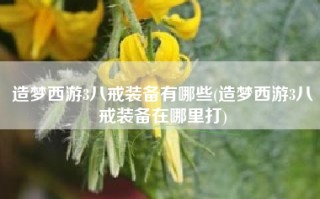 造梦西游3八戒装备有哪些(造梦西游3八戒装备在哪里打)