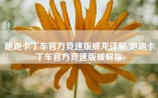 跑跑卡丁车官方竞速版威龙详解(跑跑卡丁车官方竞速版破解版)