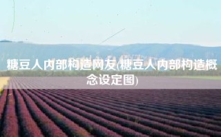 糖豆人内部构造网友(糖豆人内部构造概念设定图)