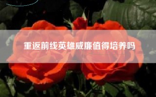 重返前线英雄威廉值得培养吗
