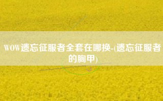 WOW遗忘征服者全套在哪换-(遗忘征服者的胸甲)