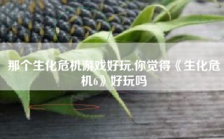 那个生化危机游戏好玩,你觉得《生化危机6》好玩吗