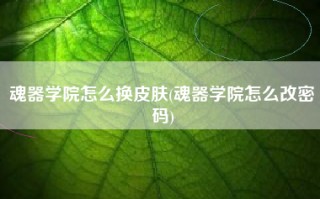 魂器学院怎么换皮肤(魂器学院怎么改密码)