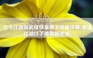 古今江湖新武侠铁掌帮王技能详解(濡沫江湖以下哪部新武侠)
