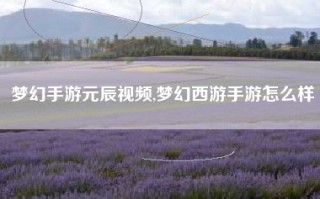 梦幻手游元辰视频,梦幻西游手游怎么样