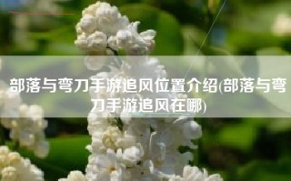 部落与弯刀手游追风位置介绍(部落与弯刀手游追风在哪)