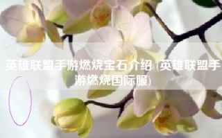 英雄联盟手游燃烧宝石介绍 (英雄联盟手游燃烧国际服)