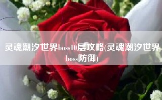 灵魂潮汐世界boss10层攻略(灵魂潮汐世界boss防御)