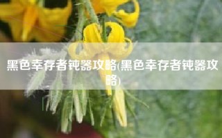 黑色幸存者钝器攻略(黑色幸存者钝器攻略)
