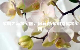 黎明之海藏宝图如何获得(黎明觉醒藏宝图)