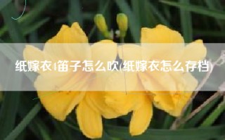 纸嫁衣4笛子怎么吹(纸嫁衣怎么存档)