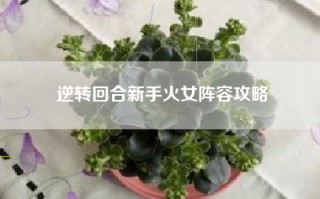 逆转回合新手火女阵容攻略
