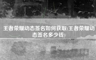 王者荣耀动态签名如何获取(王者荣耀动态签名多少钱)