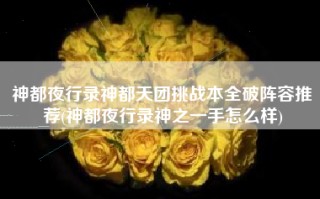 神都夜行录神都天团挑战本全破阵容推荐(神都夜行录神之一手怎么样)