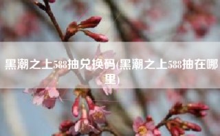 黑潮之上588抽兑换码(黑潮之上588抽在哪里)