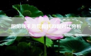 阴阳师手游荒和妖刀姬对比分析