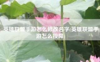 英雄联盟手游怎么修改名字(英雄联盟手游怎么投降)