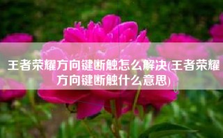 王者荣耀方向键断触怎么解决(王者荣耀方向键断触什么意思)