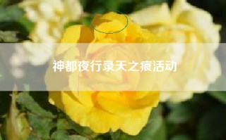神都夜行录天之痕活动
