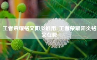王者荣耀铭文阳炎谁用_王者荣耀阳炎铭文在哪