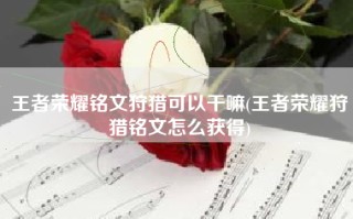 王者荣耀铭文狩猎可以干嘛(王者荣耀狩猎铭文怎么获得)