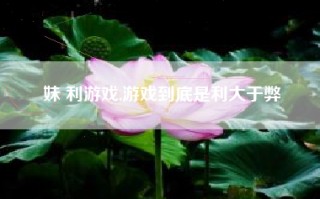 妹 利游戏,游戏到底是利大于弊