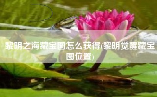 黎明之海藏宝图怎么获得(黎明觉醒藏宝图位置)