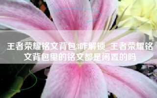 王者荣耀铭文背包3咋解锁_王者荣耀铭文背包里的铭文都是闲置的吗