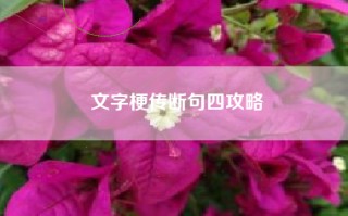 文字梗传断句四攻略