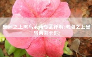 黑潮之上黑鸟茉莉专武详解(黑潮之上黑鸟茉莉卡池)