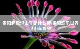 贵阳超级过山车是什么梗(贵阳欢乐世界过山车视频)