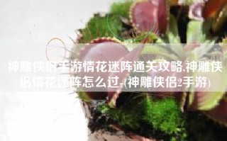 神雕侠侣手游情花迷阵通关攻略,神雕侠侣情花迷阵怎么过-(神雕侠侣2手游)