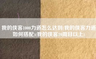 我的侠客1000力道怎么达到(我的侠客力道如何搭配)(我的侠客10周目以上)