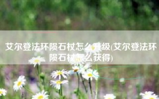 艾尔登法环陨石杖怎么升级(艾尔登法环陨石杖怎么获得)