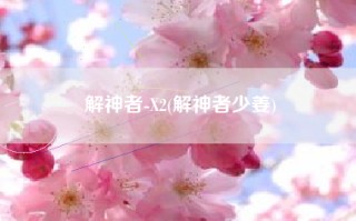 解神者-X2(解神者少姜)