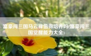 富豪闯三国马云禄值得培养吗(富豪闯三国觉醒能力大全)