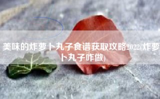 美味的炸萝卜丸子食谱获取攻略2022(炸萝卜丸子咋做)