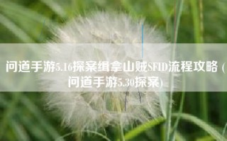 问道手游5.16探案缉拿山贼SFID流程攻略 (问道手游5.30探案)