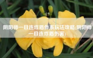 阴阳师一目连炸盾体系玩法攻略(阴阳师一目连炸盾伤害)