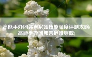 高能手办团弗吉尼娅技能强度评测攻略(高能手办团弗吉尼娅穿戴)