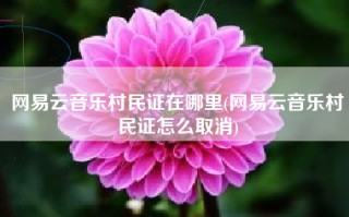 网易云音乐村民证在哪里(网易云音乐村民证怎么取消)