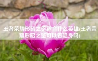 王者荣耀形昭之鉴适合什么英雄(王者荣耀形昭之鉴可以看隐身吗)