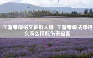 王者荣耀铭文被别人删_王者荣耀法师铭文怎么搭配伤害最高
